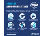 The World Antibiotic Awareness Week (16-22 November)