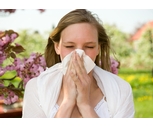 Hay fever Prevention